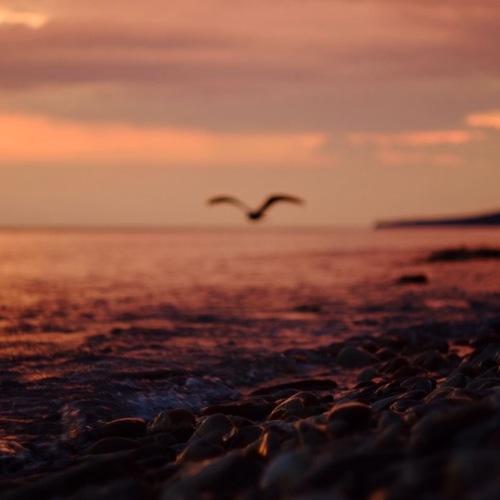 Photo #5246183