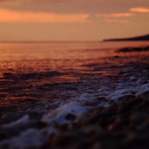 Photo #5246184