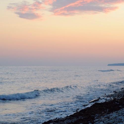 Photo #5246185