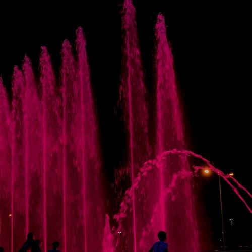 Photo #5246388