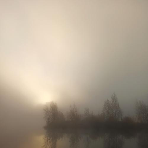 In a dream