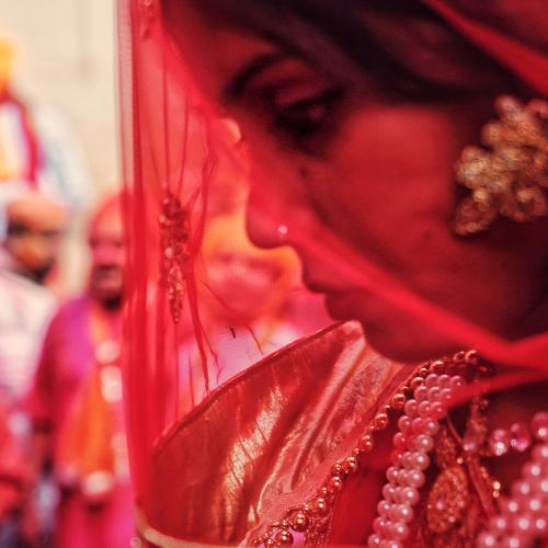 Photo #5247301