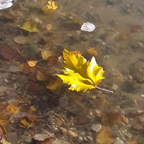 Photo #5247302