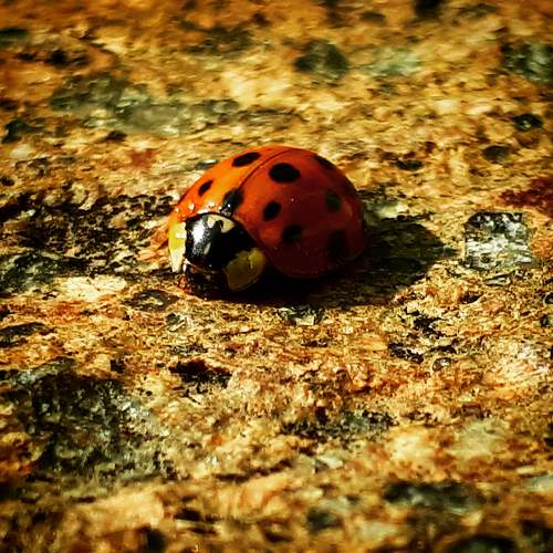 Photo #5247365