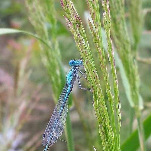 Photo #5247382