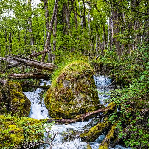 Naturaleza Pura ♻ Pura Naturaleza