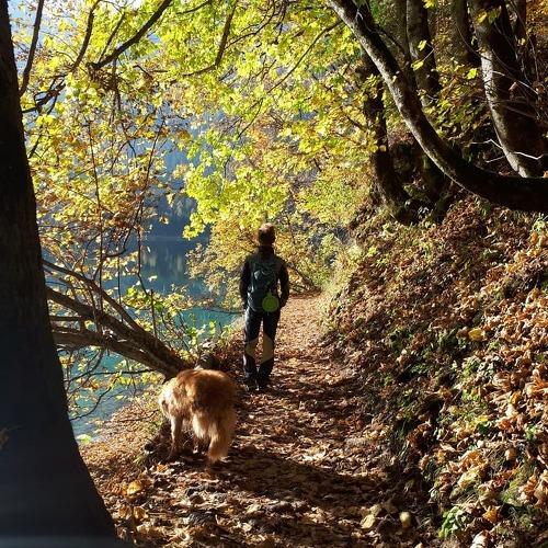 Photo #5247497