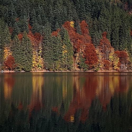Photo #5247501