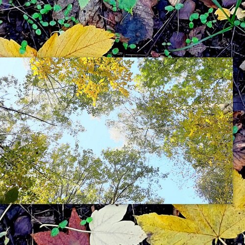 Photo #5247525