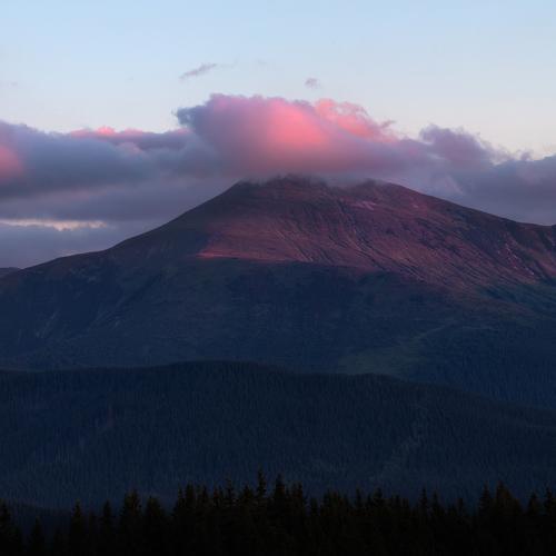 Photo #5247537