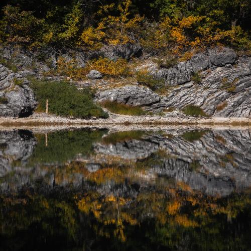 Photo #5247568