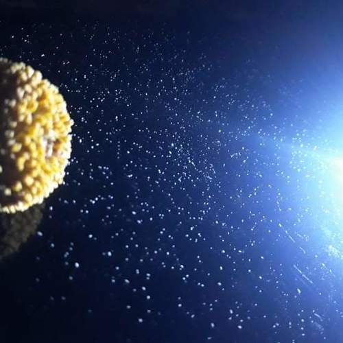 Photo #5247710