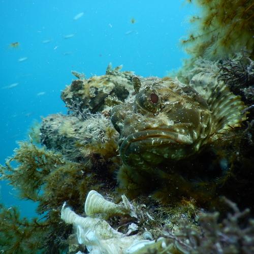 Photo #5248422