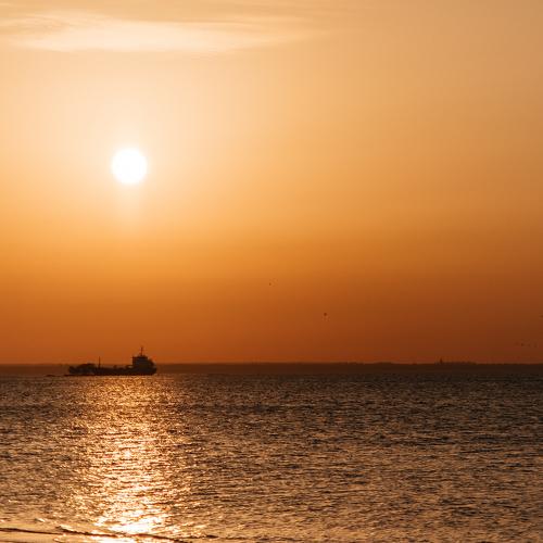 Photo #5248670