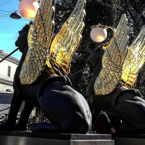Photo #5248802