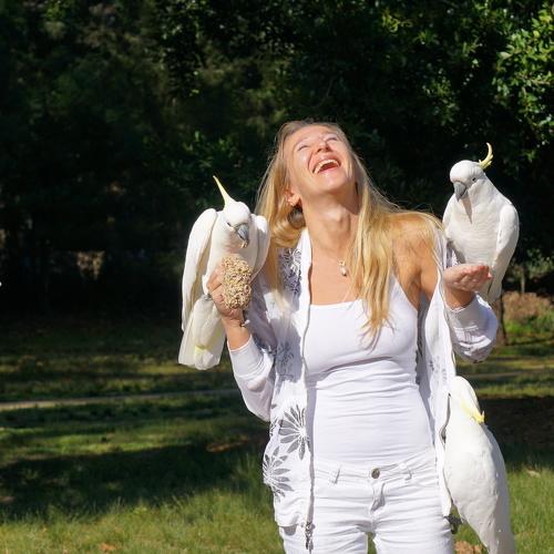 Photo #5249169