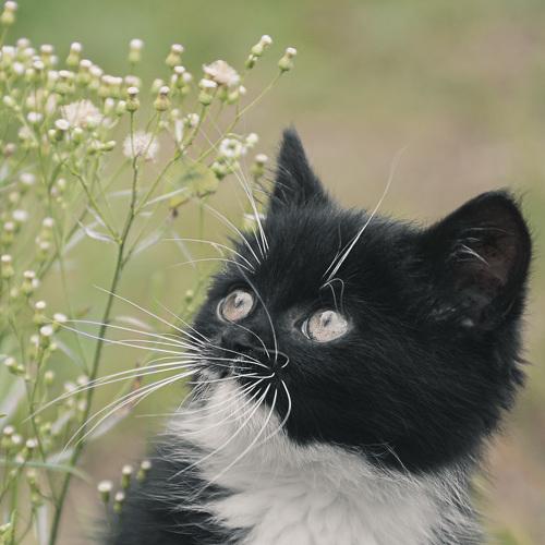 Photo #5249218