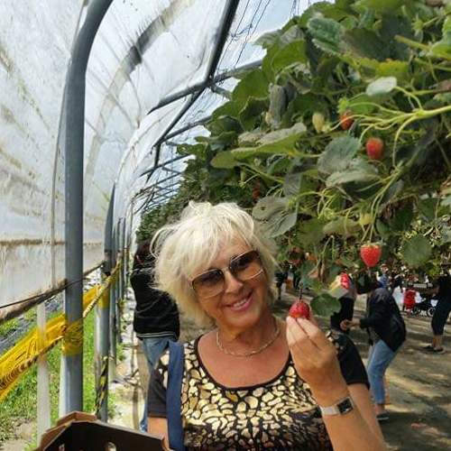 Photo #5249308