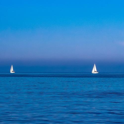 Photo #5249688