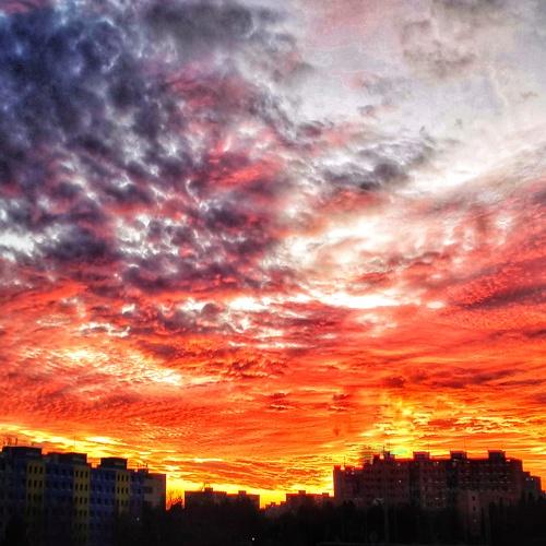 Фотография #5249727