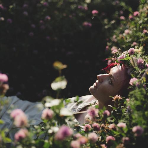 Photo #5250010