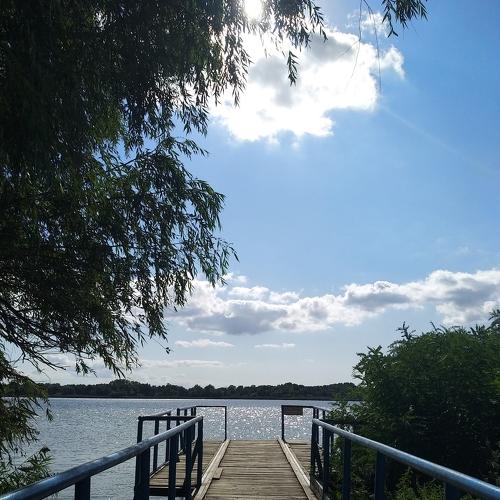 Photo #5250028