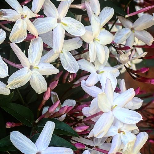 Photo #5250058