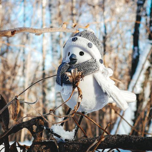 Photo #5250311