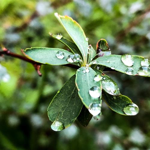 Photo #5250643