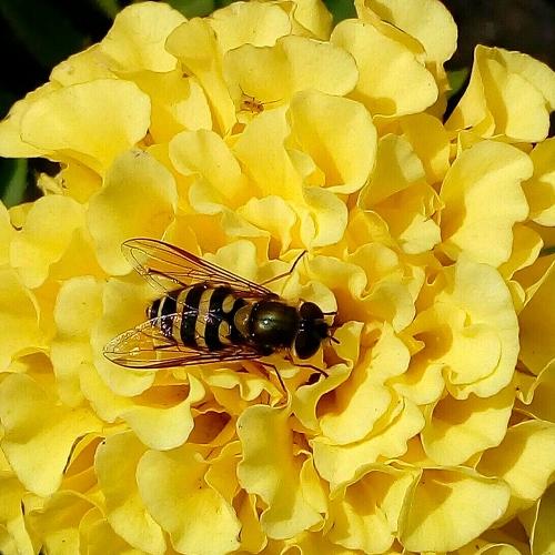 Photo #5250676