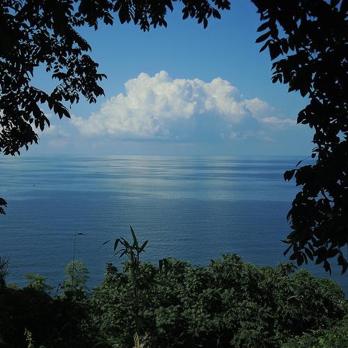 Photo #5250926