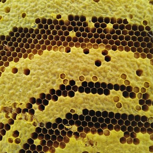 Hexagons