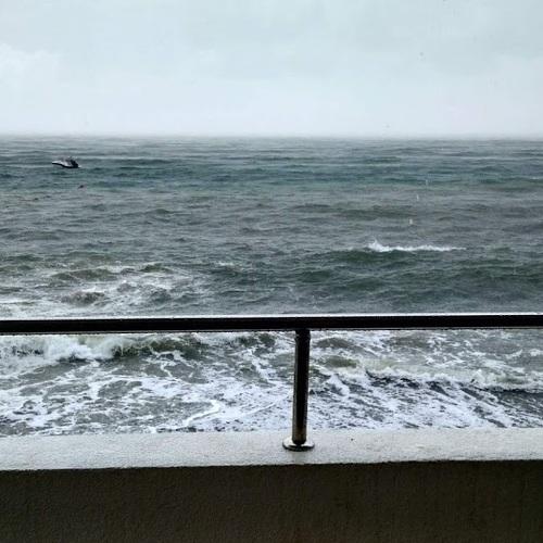 Photo #5252398