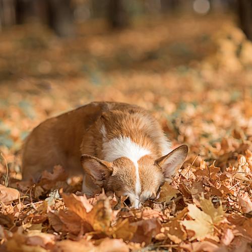 Photo #5252771