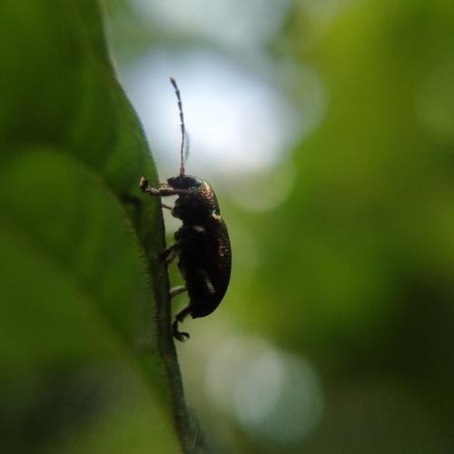 Photo #5252898