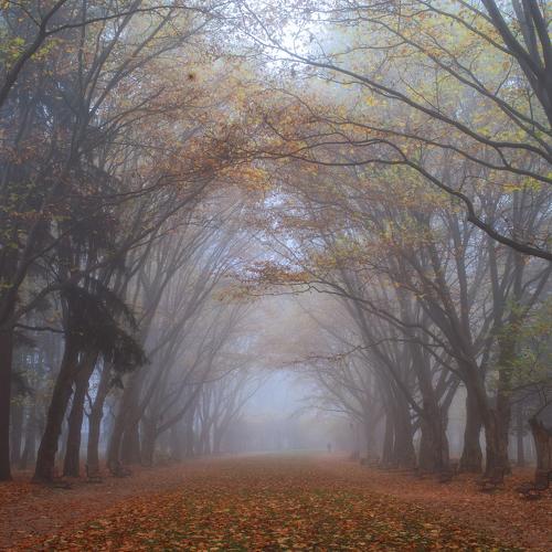 Photo #5253362
