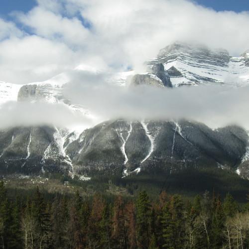 Photo #5253567
