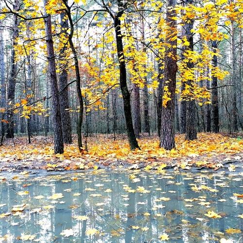 Photo #5253908