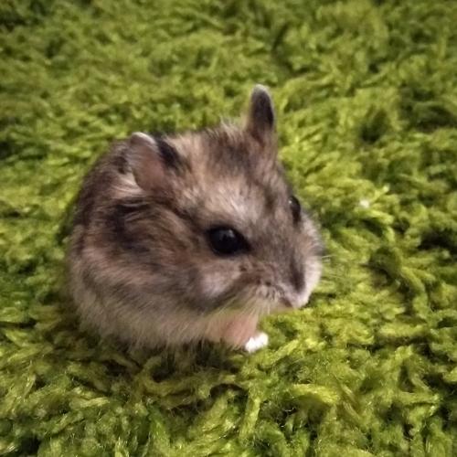 Photo #5253991