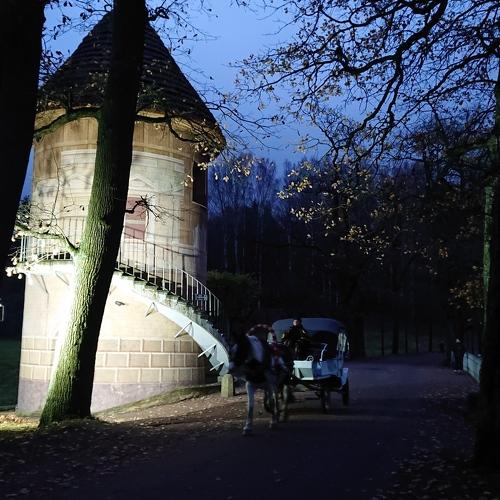 Photo #5254726