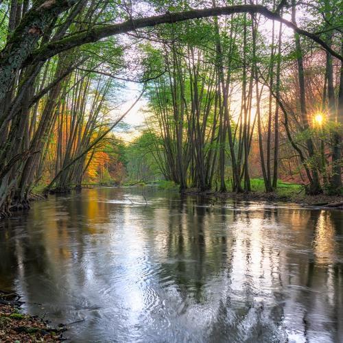 The Drawa River in its autumn form.