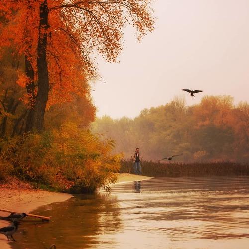 Photo #5255010