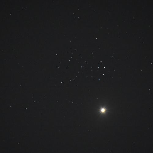 Photo #5255438
