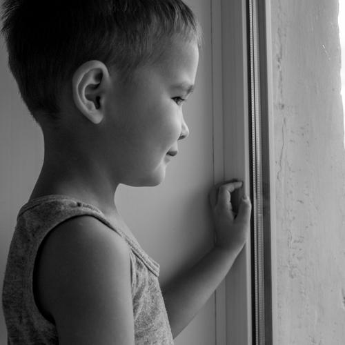 Photo #5255466