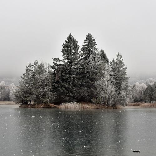 Photo #5255571
