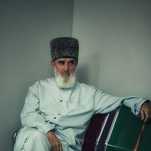 Photo #5255753