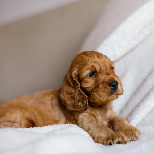 Photo #5255813