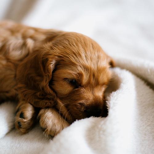 Photo #5255814