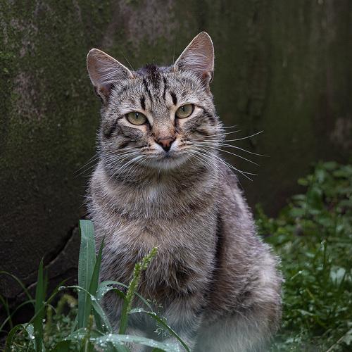 Photo #5255852