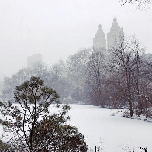 Photo #5256094